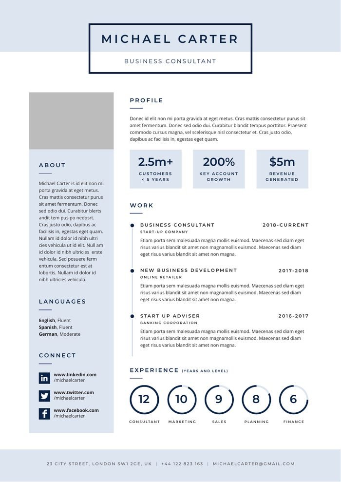 CV Template 2